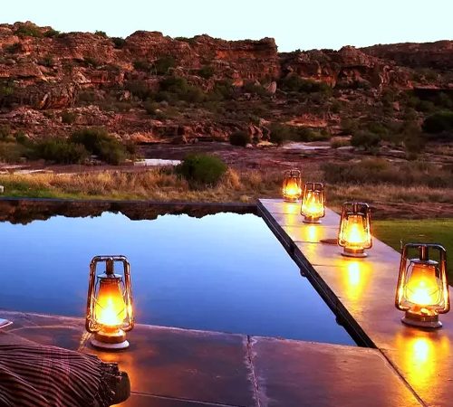 8 Days Luxury Wildlife Safari