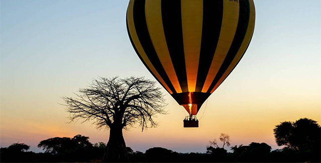 balloon safari