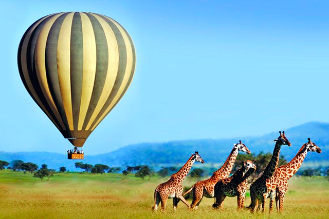 7 Days Balloon Safari