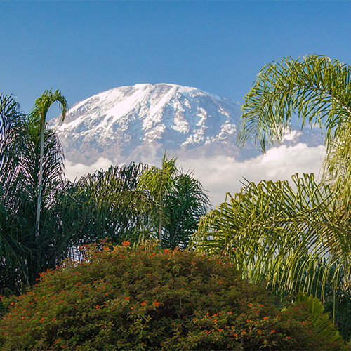 kilimanjaro-4436821