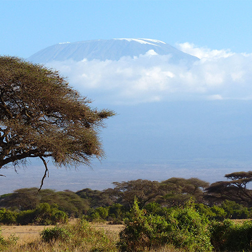 kilimanjaro-720845